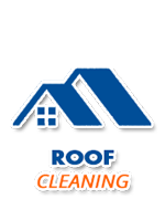 Roof Cleaning